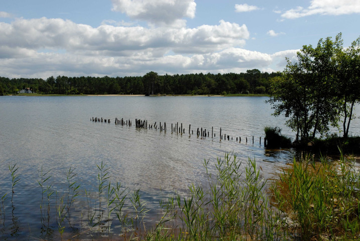 Images numériques (juin 2006, juillet 2007).