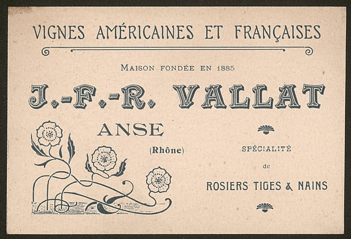 Vignes américaines et françaises J.-F.-R. Vallat - Anse.