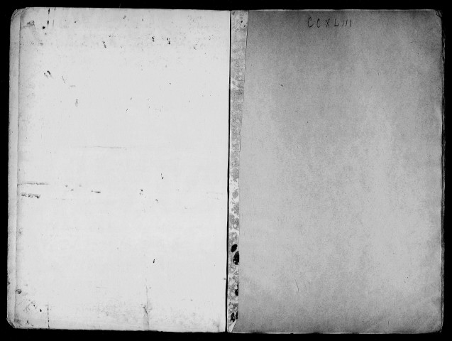 Délibérations de la section de l'égalité de Saint-Étienne (18 juin-5 octobre 1793).