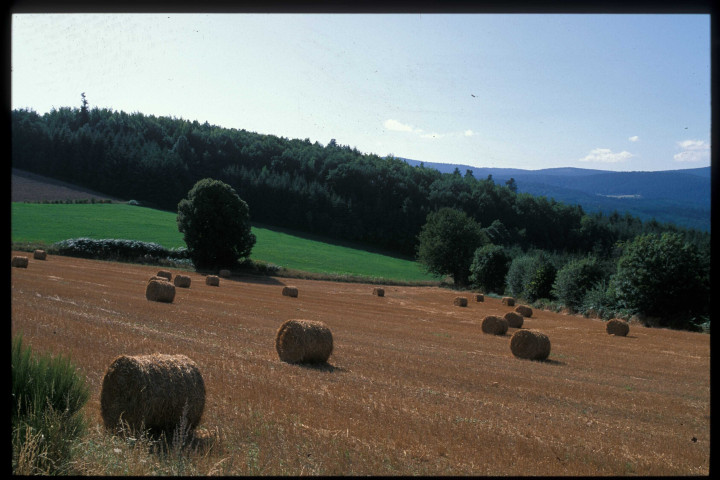 Images numériques (juillet 1980, octobre 1982, février-août 1983, mai 1984, avril-novembre 1990, mai-novembre 1991, avril 1994).