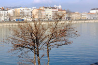 Vues de la rive droite du Rhône (janvier 2003).