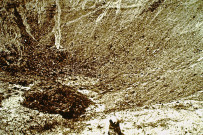 Craonne, entonnoir de mine.