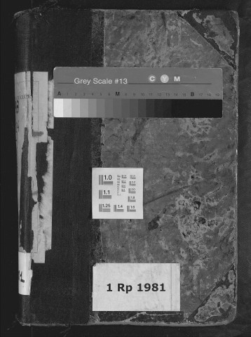 Lyon Sud : n° matricules 501-1000