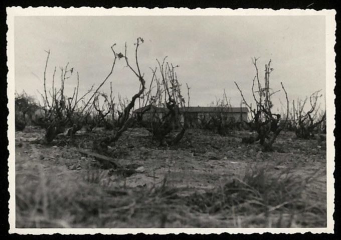 Villié-Morgon. Château de Fontcrenne.