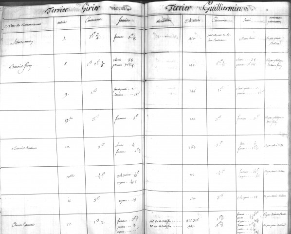 Parangon du terrier Guillermin de 1745, comparé au terrier Girier.