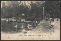 Lyon. Le parc de la Tête-d'Or. Un coin du lac.