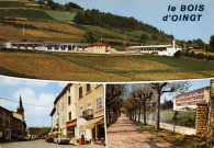Bois-dOingt (Le)