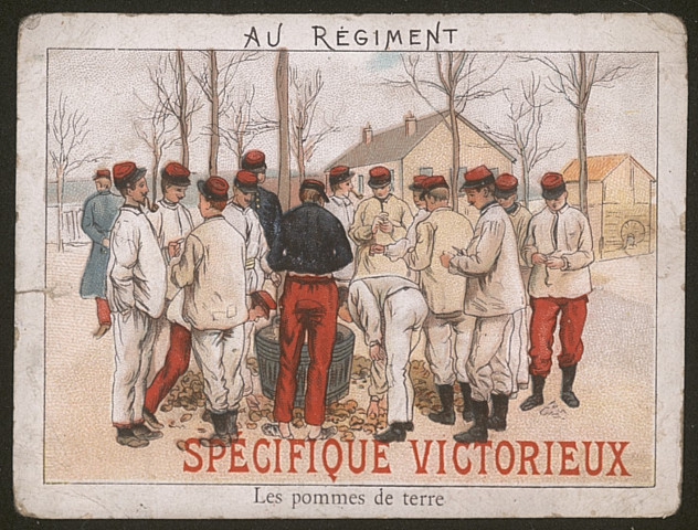 Les pommes de terre.