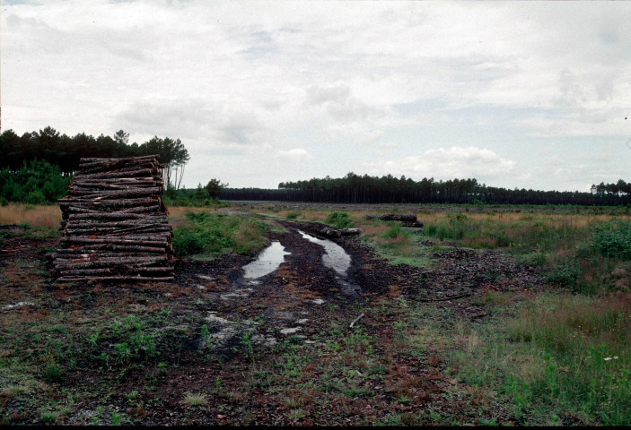 Détails (1981, juin 1993).