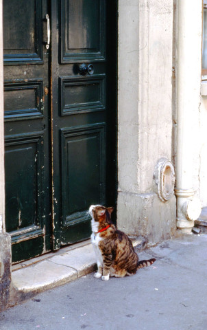 Diapositives (mai 1999-septembre 2000).