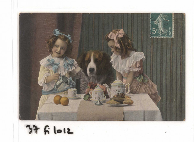 Prenant le thé avec un chien Saint-Bernard.