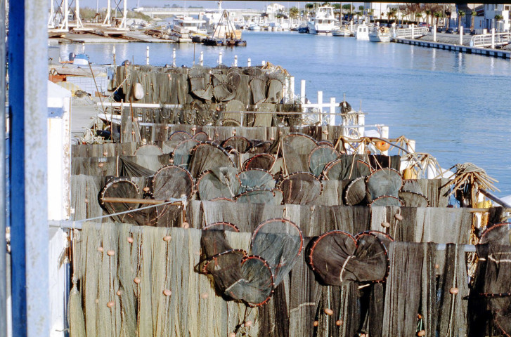 Diapositives (janvier-juillet 2000, juin 2002, mars 2003, août 2005).