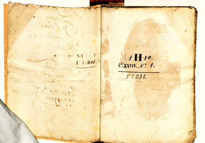 Terrier H. Charavilli à Saint-Didier-au-Mont-d'Or.