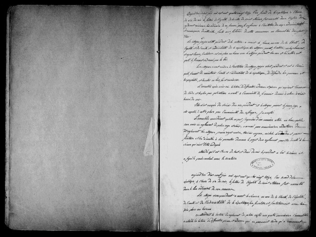 Délibérations de la section de l'égalité de Saint-Étienne (18 juin-5 octobre 1793).