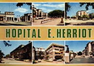 Lyon. Hôpital Edouard Herriot. Pavillon "S". Vues multiples en mosaïque.