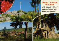 Saint-André-la-Côte. Le village et le Signal (934 m) point culminant des Monts du Lyonnais.