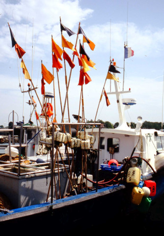 Ports, jetées et bateaux (septembre 1999, septembre 2000, juillet 2005).