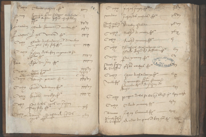 Terriers et lièves.