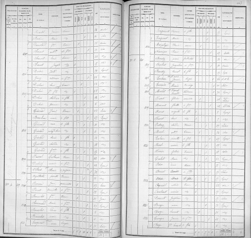 MONT-SAUVAGE (MONTEE DU)