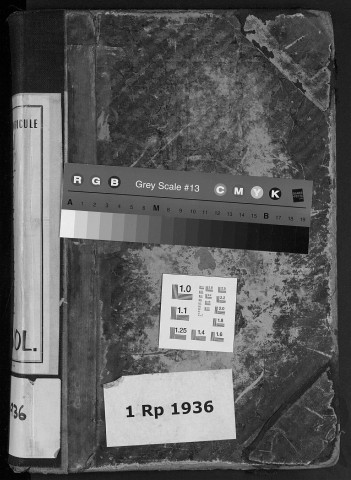 Lyon Central : n° matricules 3001-3297