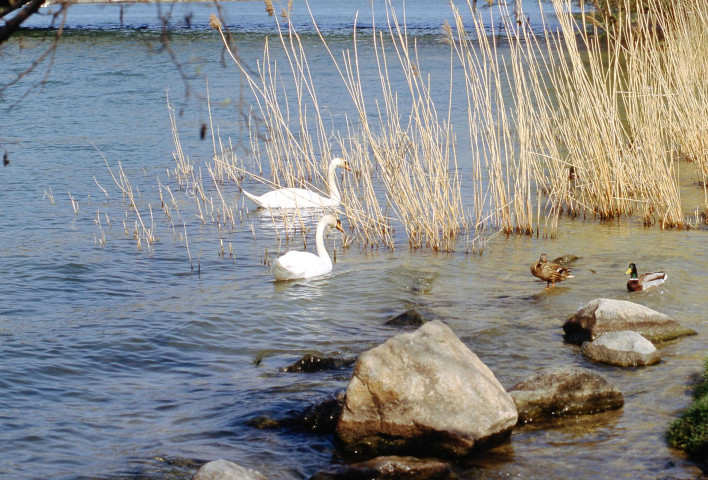 Ponts et péniches (août 2000, mars 2003).