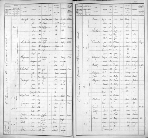 COMBE-BLANCHE (CHEMIN DE LA)