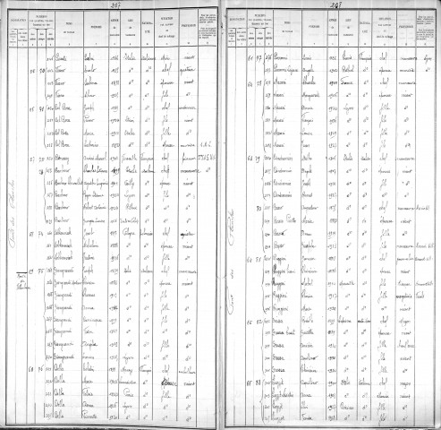 CHAVASSONNIERES (PETIT CHEMIN DES)
