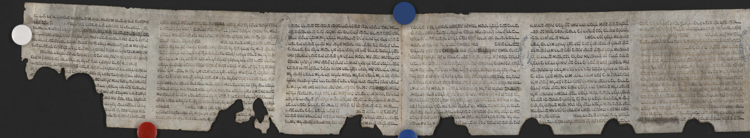 Parchemin roulé dit « Rouleau d'Esther ».