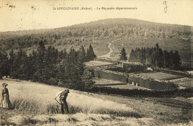 Saint-Appolinaire