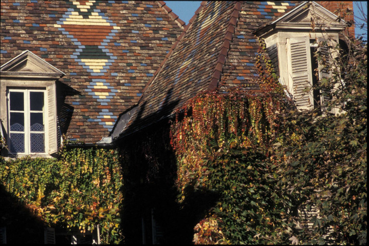 Marsannay (octobre-novembre 1995).