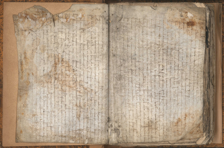 Terrier Claude Ruyer au profit de Gui de Feuguières.