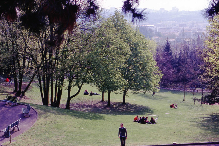 Végétal (octobre 2000, mai 2003, juin 2004).