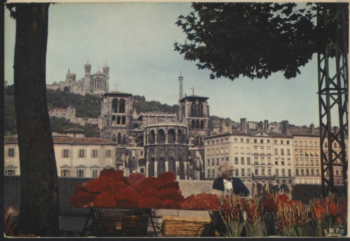 Lyon. Du marché aux fleurs, vue sur la cathédrale Saint-Jean et la colline de Fourvière.
