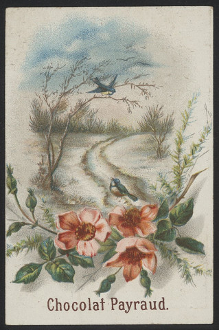 Sentier sous la neige avec deux oiseaux et bouquet d'hellébores.