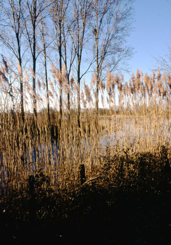 Janvier, avril 2002.