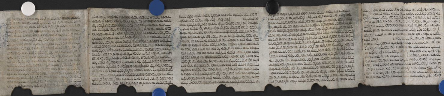 Parchemin roulé dit « Rouleau d'Esther ».