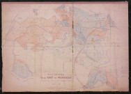 Document de travail : plan général de la forêt de Pramenoux, dressé le 1er mars 1938, revu et corrigé en avril 1939.
