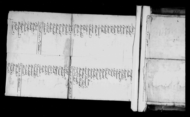 Liste des membres ; délibérations et correspondance du comité de salut public du comité particulier de surveillance et de sûreté publique (août-octobre 1793).