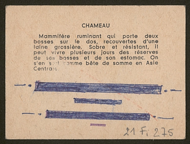 Amanite citrine - Lactaire roux.