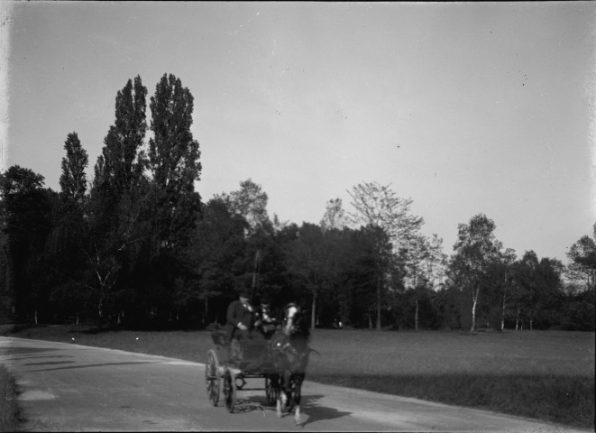 Deux hommes dans un attelage à cheval sur une route de campagne.