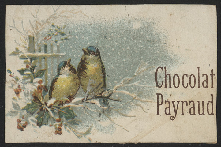 Deux oiseaux sous la neige sur une branche de houx.