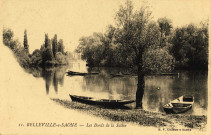 Belleville-sur-Saône. Les bords de la Saône.