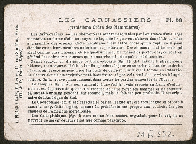 Les carnassiers - planche 28.