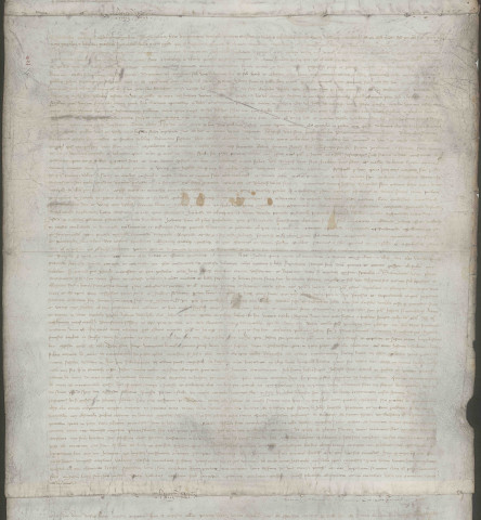 Cartulaire des Grands carmes.