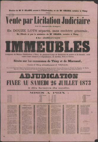 Vente par licitation judiciaire d'immeubles à Thizy et Marnand (26 juillet 1873).