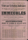 Vente par licitation judiciaire d'immeubles à Thizy et Marnand (26 juillet 1873).
