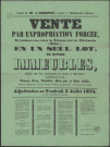 Vente par licitation judiciaire d'immeubles à Saint-Vérand (9 novembre 1860).