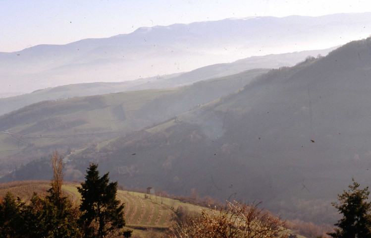 Panoramas (septembre 1997, mai 1998, mai-décembre 1999, février-août 2000, mars-septembre 2001, octobre 2002, février 2004).