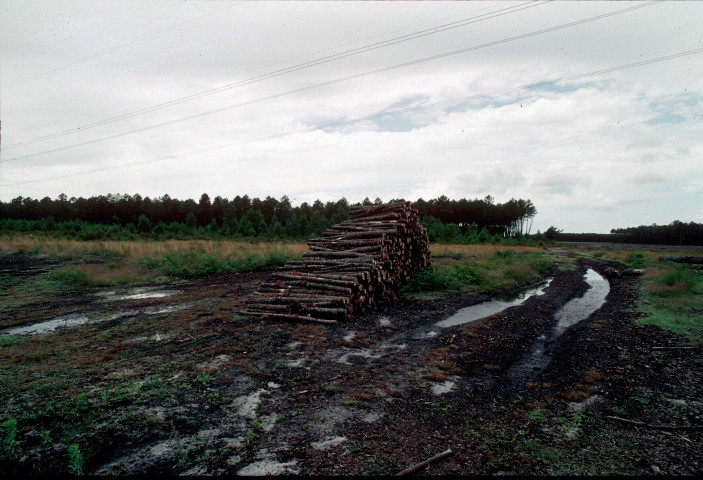 Détails (1981, juin 1993).