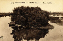 Belleville-sur-Saône. Une des îles.